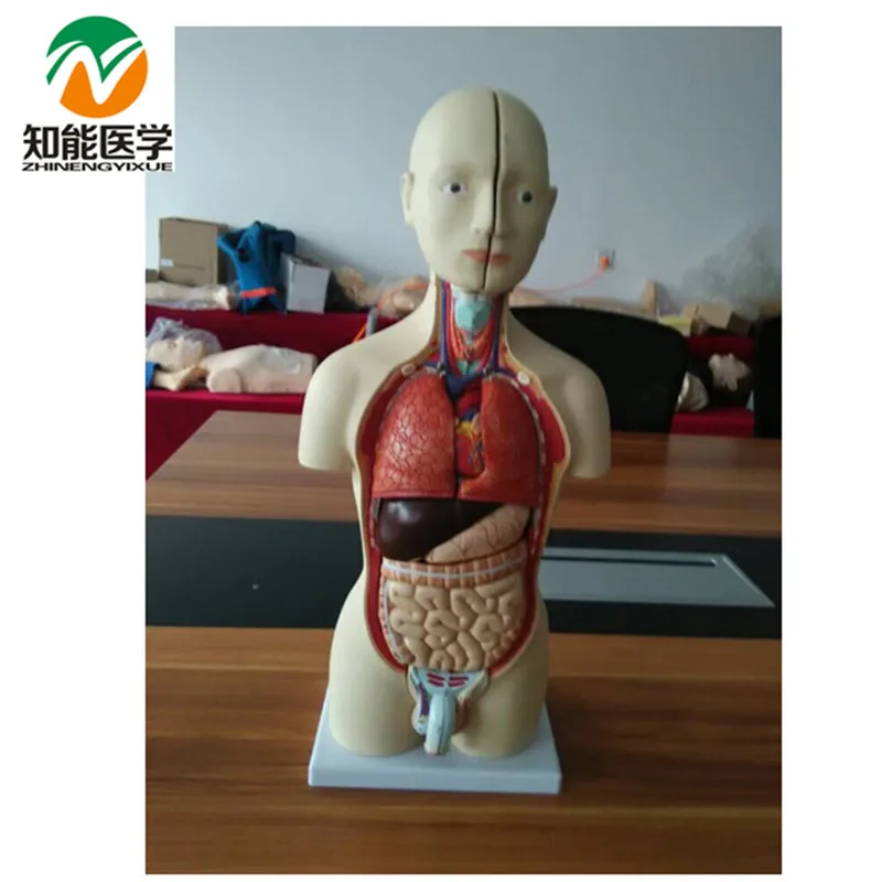 Манекен голова женская и парик. Парик на манекене. Манекен мужской в полный рост. Манекен 13. Манекен серый мужской.