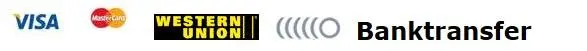 Payment icon