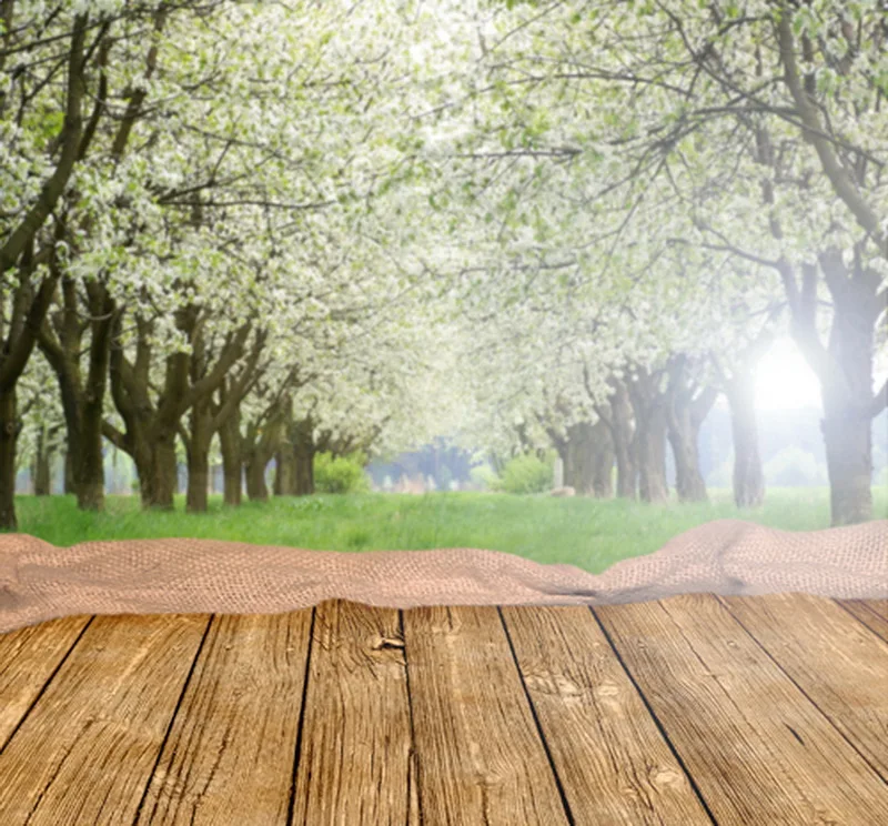 Весенний естественный фон для фотосъемки новорожденных пользовательские фото