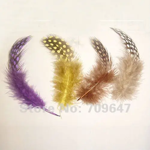 FMG0001 (2)