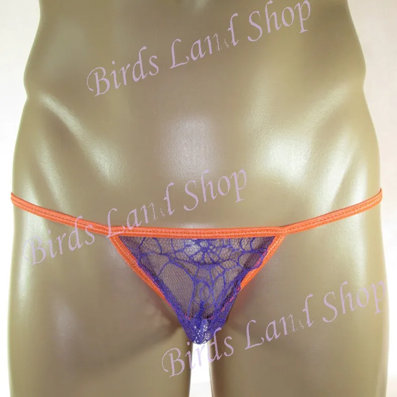 G3679-M-purple-1-_new(2)