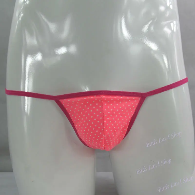 G798C-polka-3_new(2)