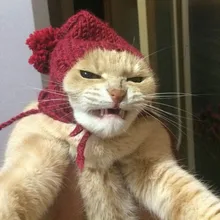 J***v