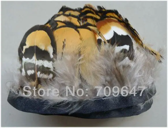 FCT0057