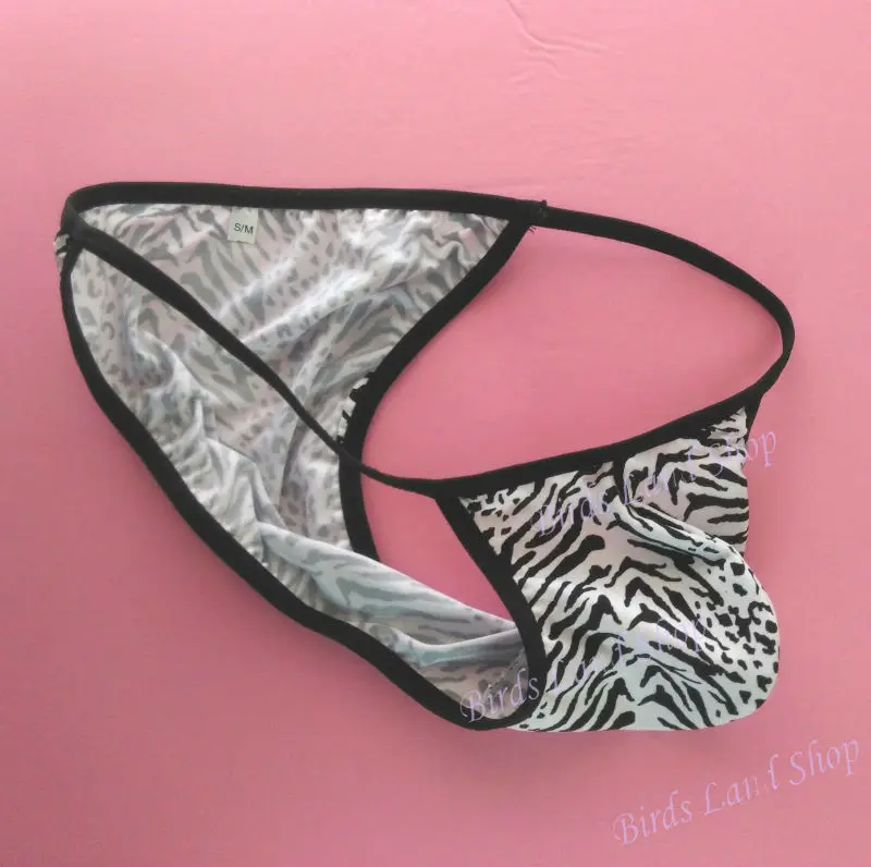 G4484-zebra-B2_new(2)