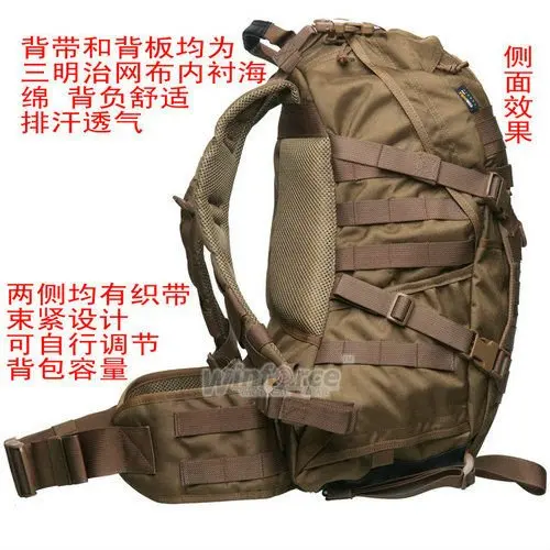 WP-10_1
