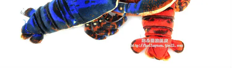 lobster 04