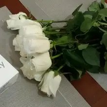 Y***a