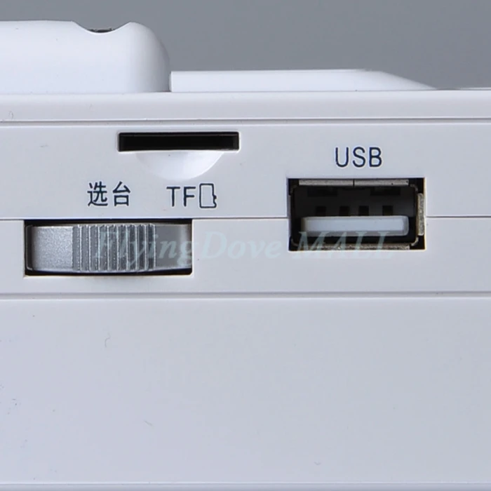 Panda 6503 FM радио два диапазона радио USB/Лента TF транскрибция магнитофон подарок радио