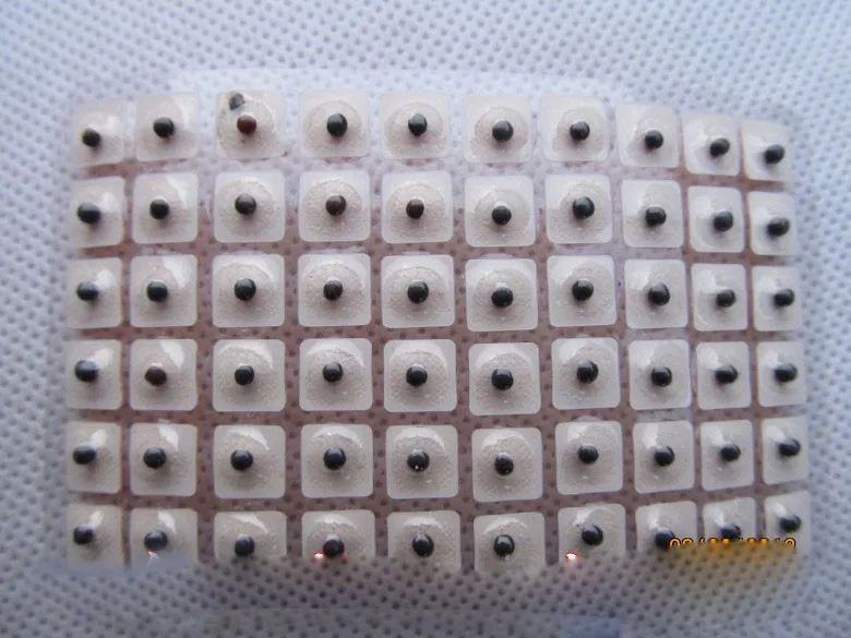 T205ewXlpaXXXXXXXX_!!811398390