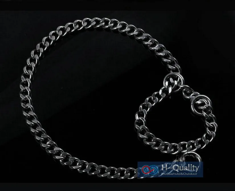 pet collar 3