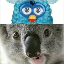 A***i