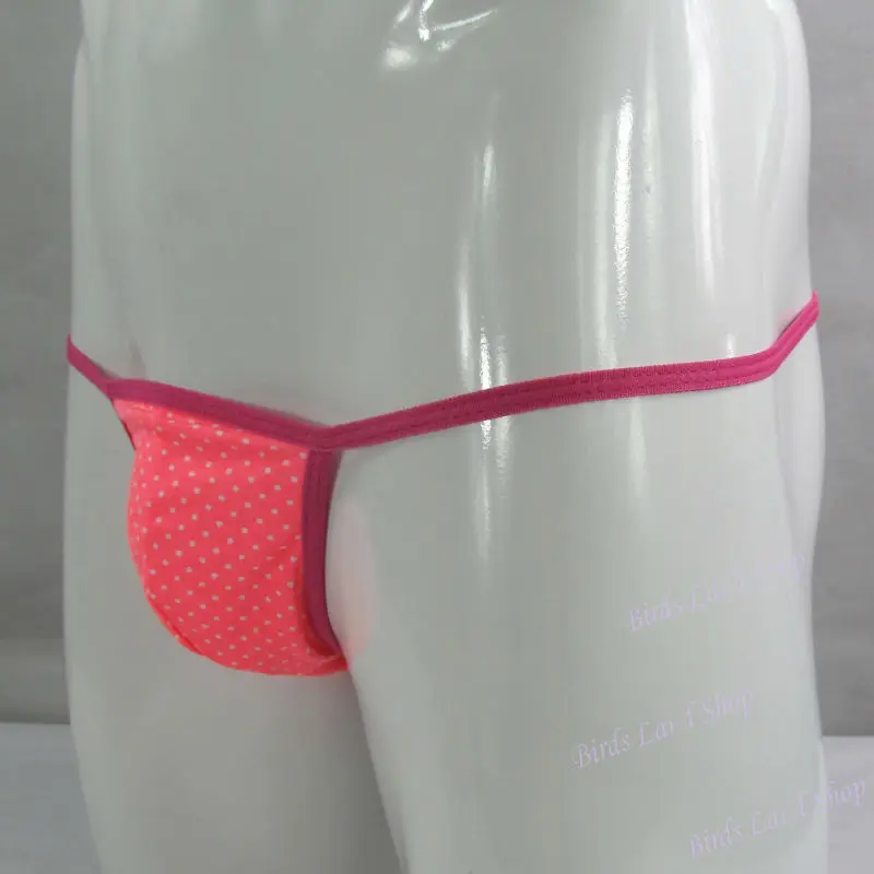 G798C-polka-2_new(2)