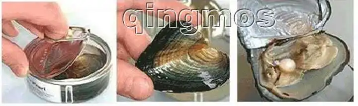 WELCOME TO QINGMOS STORE