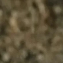j***s