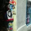 D***v