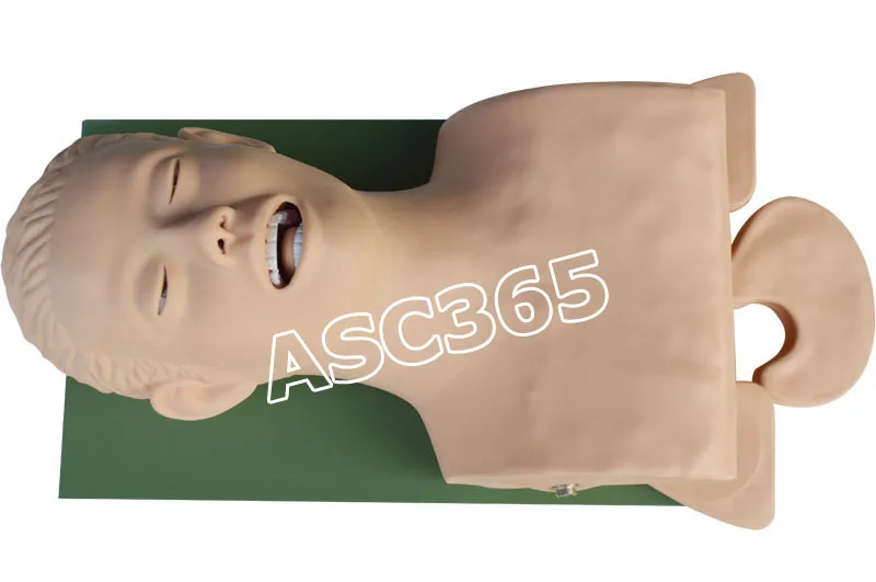 Airway Management Trainer Intubation 220V For Medical Science Teaching