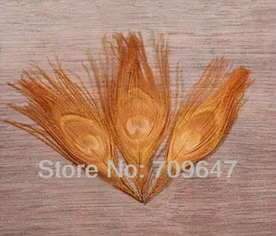 FMP0020 (9)