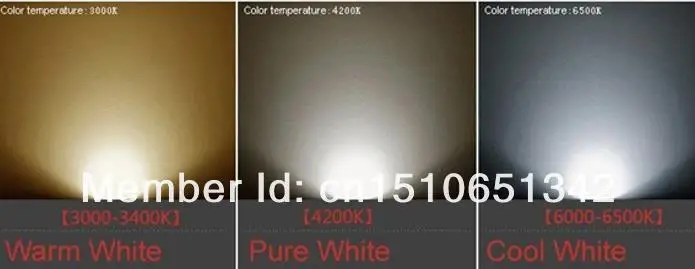 36020131007203949746