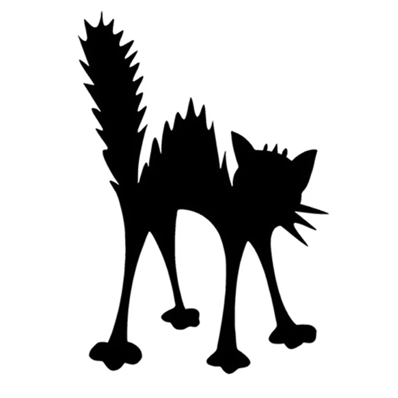 10 3*15 см в виде электрокошки|accessory adapter|accessories walletaccessories pet |