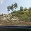 T***n
