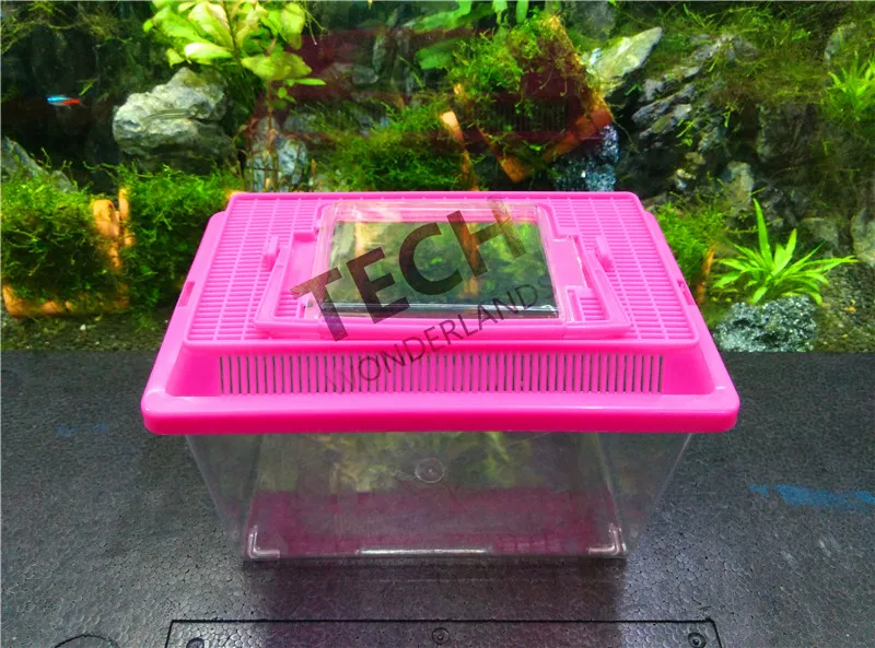portable Feeding box for Reptile Turtles Tortoise cage Gold Fish Box