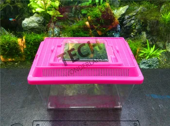 

portable Feeding box for Reptile Turtles Tortoise cage Gold Fish Box Transport box random color