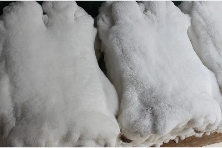 Rex Rabbit Fur Pelts / Genuine Rex Rabbit Fur Skin Wholesalein Fur