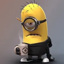 V***h