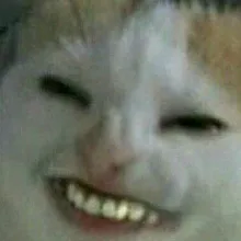 R***r