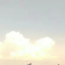 B***I