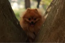 S***n