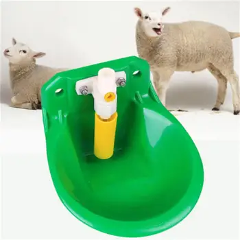 

Sheep Water Bowls Colt Calves Drinking Pig Feeders Animal Feeder Engineering Plastics Green Quality Drinking