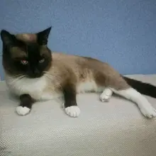 B***Y