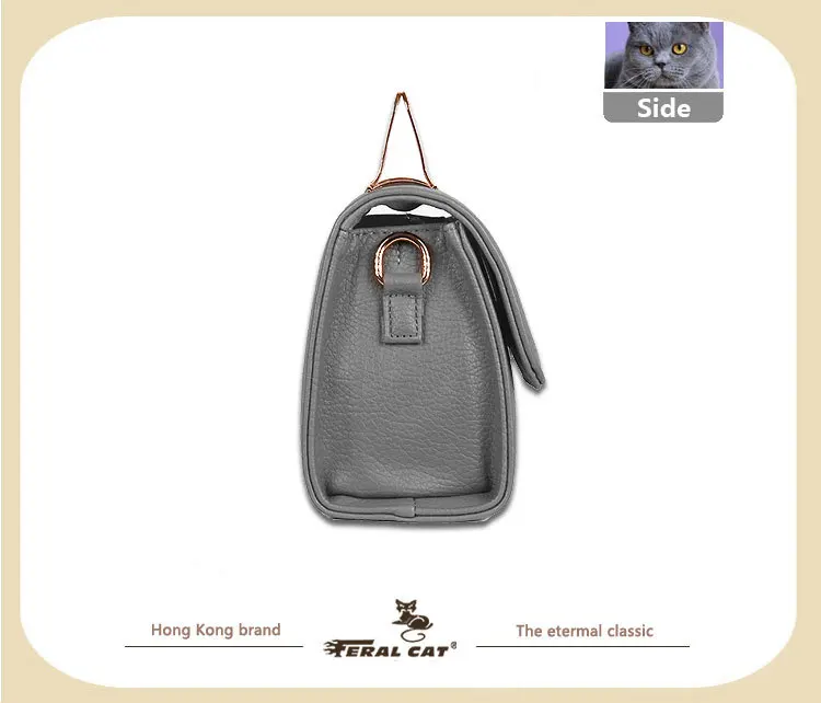 FERAL CAT Fashion Handbag 2017 Women Leather Handbags Luxury Bags Designer High Quality97