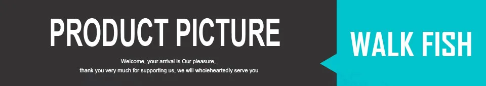 WALK FISH 47
