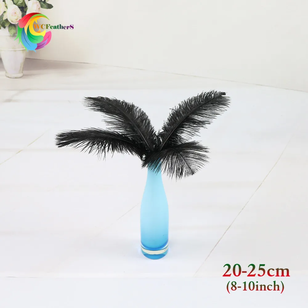  20-25cm  1