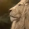 f***e