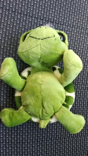 Peluche tortue géante 20cm à 100cm. Énorme coussin tortue mignonne