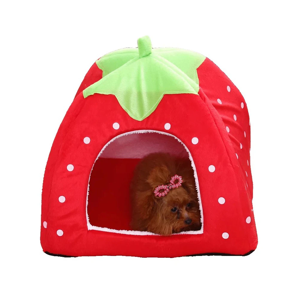 SC-P043-Red-c