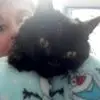 s***e