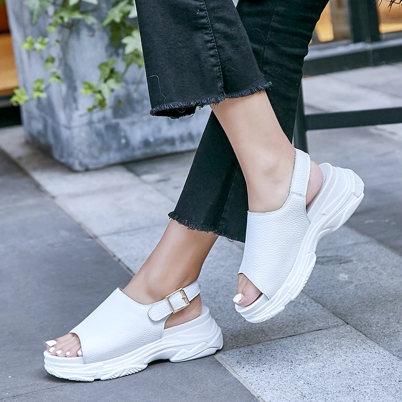 PU2A4277