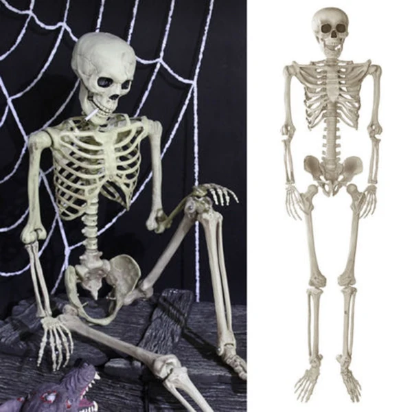 

1.85m Jointed Skeleton Decoration Party Jointed Halloween Skeleton for Party Haunt House Prank Spooky Props