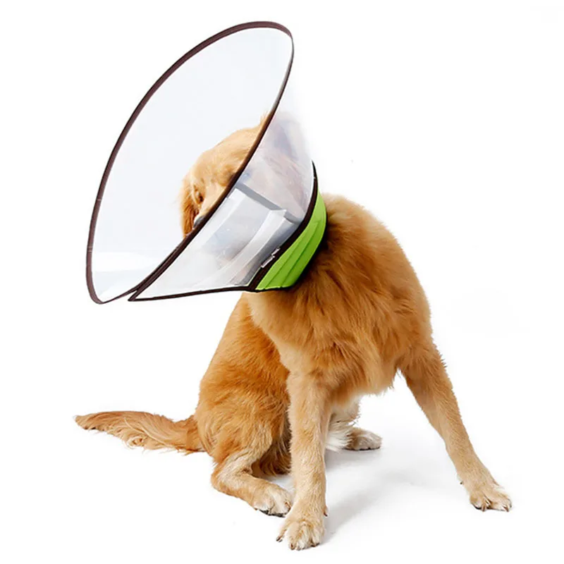 Léger Collier De Chien Chiot Chat Récupération La