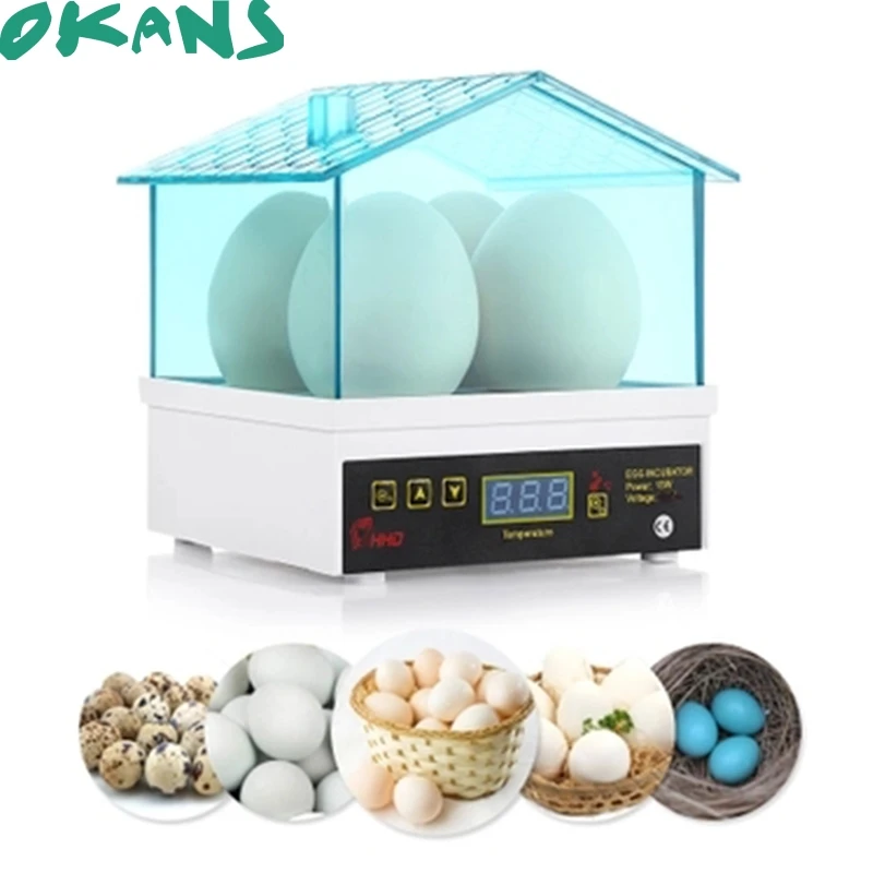 best small incubator for chicken eggs best small incubator for chicken eggs