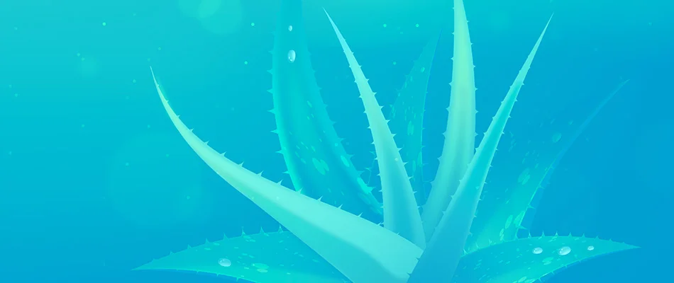 aloevera