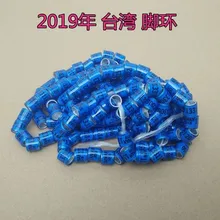 Синие тайваньские голуби Кольца Птицы