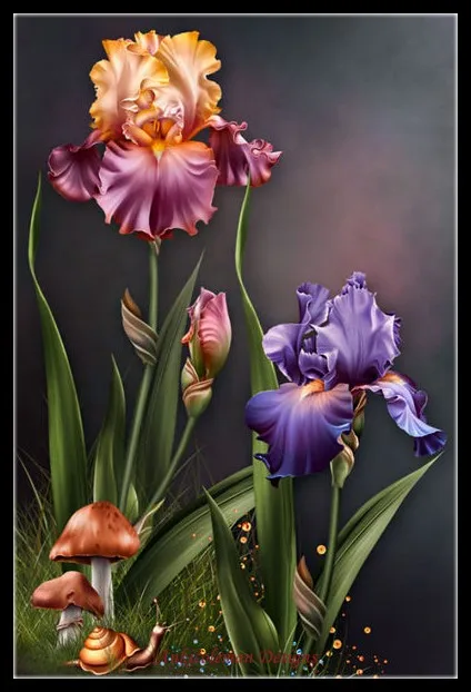 

Counted Cross Stitch Kits Needlework - Crafts 14 ct Aida DMC Color DIY Arts Handmade Home Decor - Iris Mushroom Snai