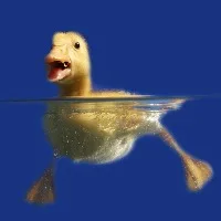 E***v