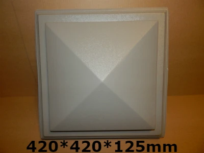 DSCN4971 4003